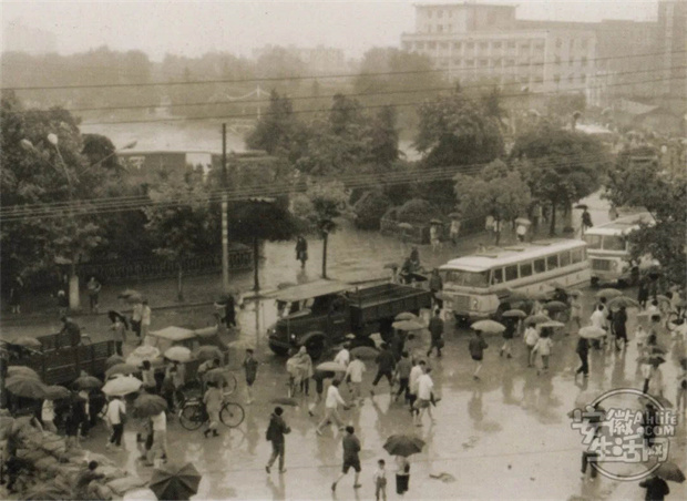 九游会老哥必备的交流社区_J9俱乐部论坛首页
