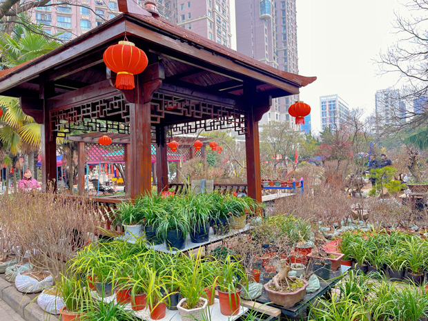 九游会老哥必备的交流社区_J9俱乐部论坛首页