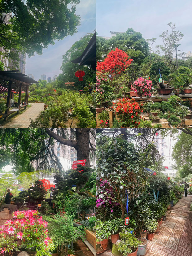 九游会老哥必备的交流社区_J9俱乐部论坛首页