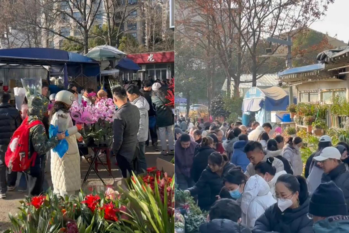 九游会老哥必备的交流社区_J9俱乐部论坛首页