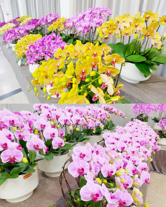 九游会老哥必备的交流社区_J9俱乐部论坛首页