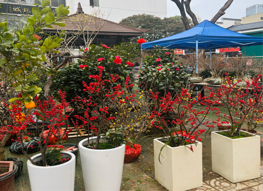 九游会老哥必备的交流社区_J9俱乐部论坛首页