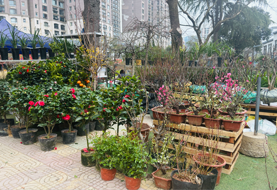 九游会老哥必备的交流社区_J9俱乐部论坛首页