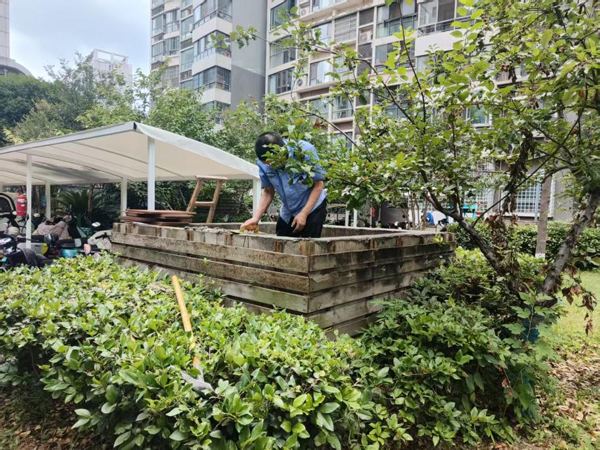 九游会老哥必备的交流社区_J9俱乐部论坛首页